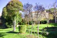 Casa Rural Los Laureles. Jardín