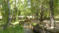 Foto 10 de El Jardin Del Hueznar
