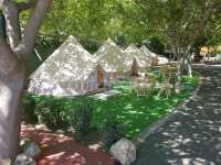 Foto 8 de Camping El Pino