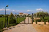 Entrada Finca