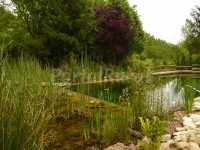 Piscina natural