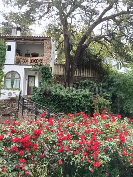 La Casita De La Fuente