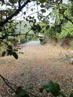 Jardín 
