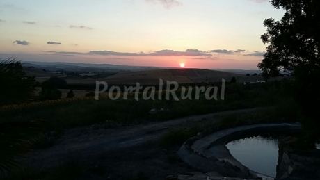 Herrizas De Tierras Nuevas