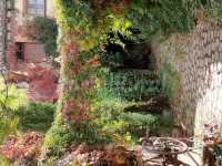 Jardin otoño