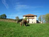 Foto 5 de Casa Rural La Toba I Y Ii