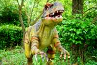 Foto 30 de La Casa De El Bosque Encantado