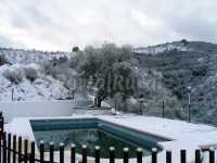 Nevado en Invierno