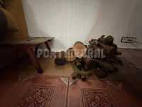 Foto 6 de Casa Romántica - Quijote Y Sancho