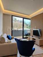 salon hortensia