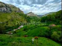 Foto 27 de Lo Teresa - Casa Rural En Cantabria