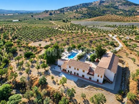 Cortijo La Estrella