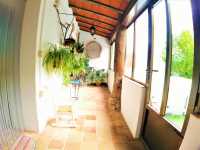Galeria Plantas