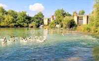Rio Jucar