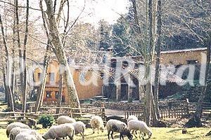 El Molí De Can Aulet