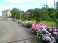 vista general del hotel