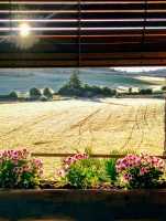 vista desde la ventana