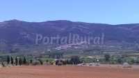 Vistas desde el albergue