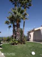 Foto 6 de Casa Verge En Panorámica Golf