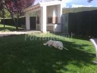 Foto 1 de Cortijo De Abajo Granada