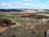 Foto 8 de Las Tainas De Carabias Sigüenza