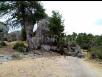 alrededores