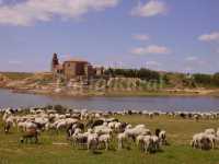 Foto 10 de Casa Rural Molino1914