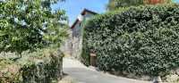 Foto 9 de Casa Da Canella - Ribeira  Sacra - Nogueira De Ramuín - Ourense - Galicia 