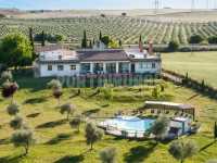 Vista aérea de la finca: la casa, la piscina y el olivar
