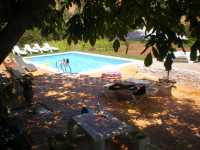 Foto 3 de Huerta De Las Palomas