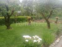 Foto 3 de Casa Pico Vila