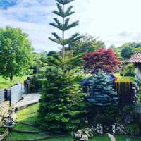 jardin