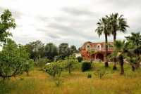 Foto 1 de Casa La Matriz Rural 