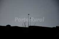 Foto 5 de Casa Rural  Buil
