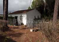 Foto 4 de Finca El Arte Por El Arte
