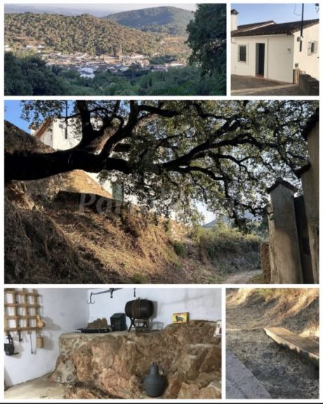 Apartamento Rural