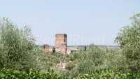 Foto 7 de Vivienda Turística Rural Cortijo De La Aragonesa