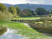 Río Bullaque 