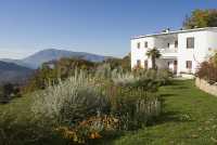 Foto 6 de La Oveja Verde De La Alpujarra