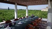 Vistas a los Naranjos desde la Pérgola