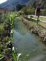 Acequia Andelma