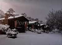 Casas Nevadas Temporal Filomena