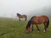 Foto 4 de Casa Rural Atxuri Gipuzkoa