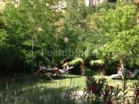 el jardin