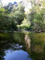 el rio en la molina